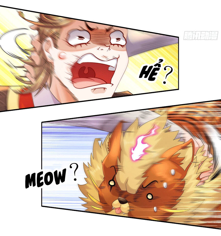 Tuyệt Sắc Đạo Lữ Đều Nói Ngô Hoàng Thể Chất Vô Địch Chapter 3 - Trang 19