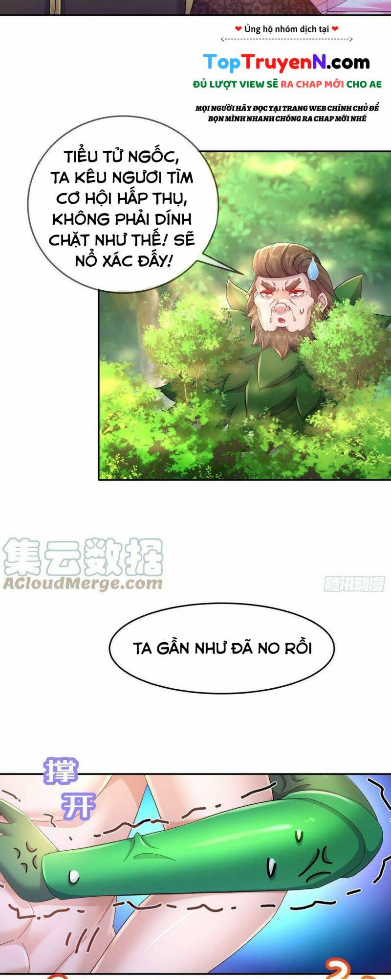 Tuyệt Sắc Đạo Lữ Đều Nói Ngô Hoàng Thể Chất Vô Địch Chapter 39 - Trang 14