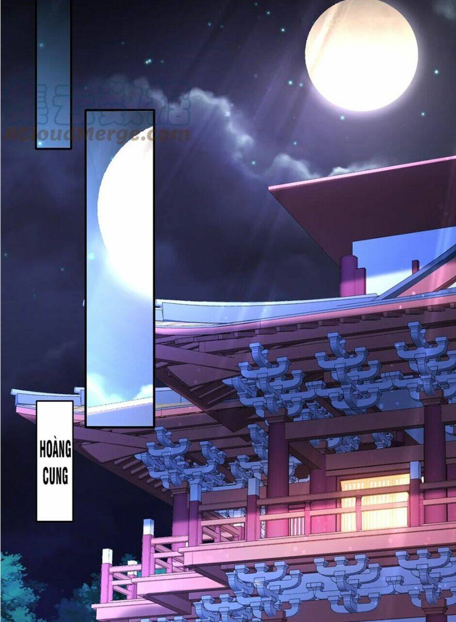 Tuyệt Sắc Đạo Lữ Đều Nói Ngô Hoàng Thể Chất Vô Địch Chapter 53 - Trang 17