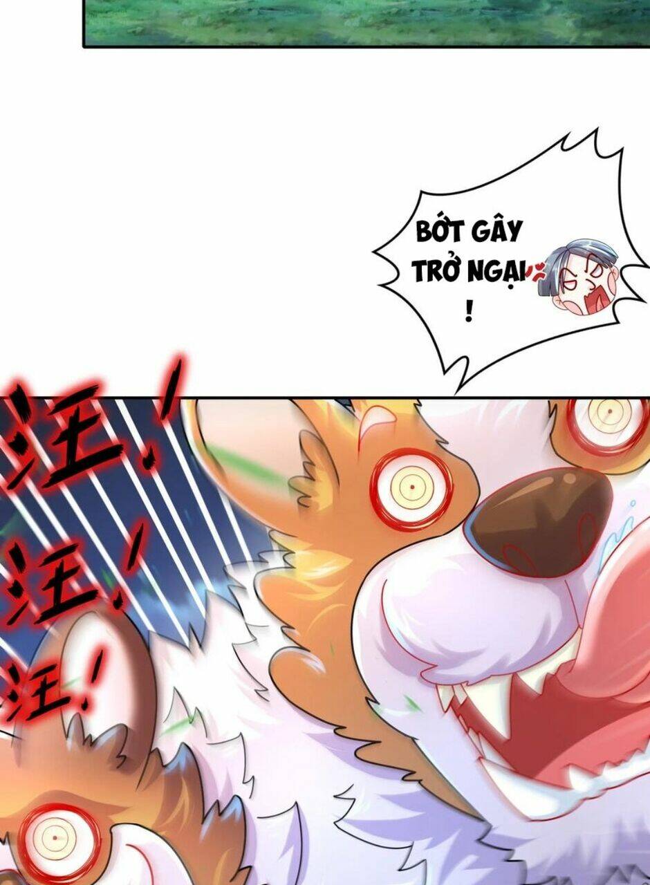 Tuyệt Sắc Đạo Lữ Đều Nói Ngô Hoàng Thể Chất Vô Địch Chapter 58 - Trang 24