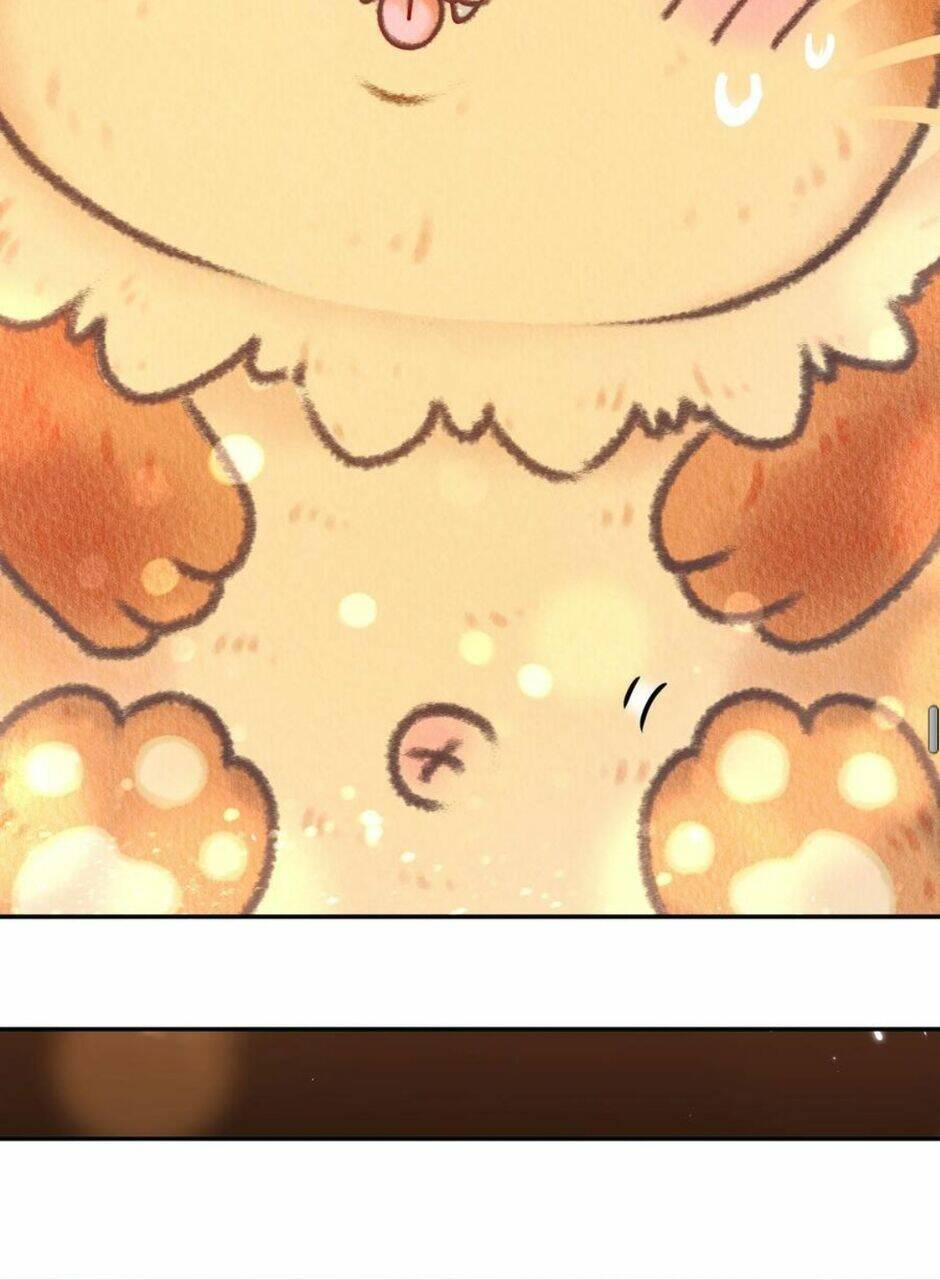 Tuyệt Sắc Đạo Lữ Đều Nói Ngô Hoàng Thể Chất Vô Địch Chapter 58 - Trang 31