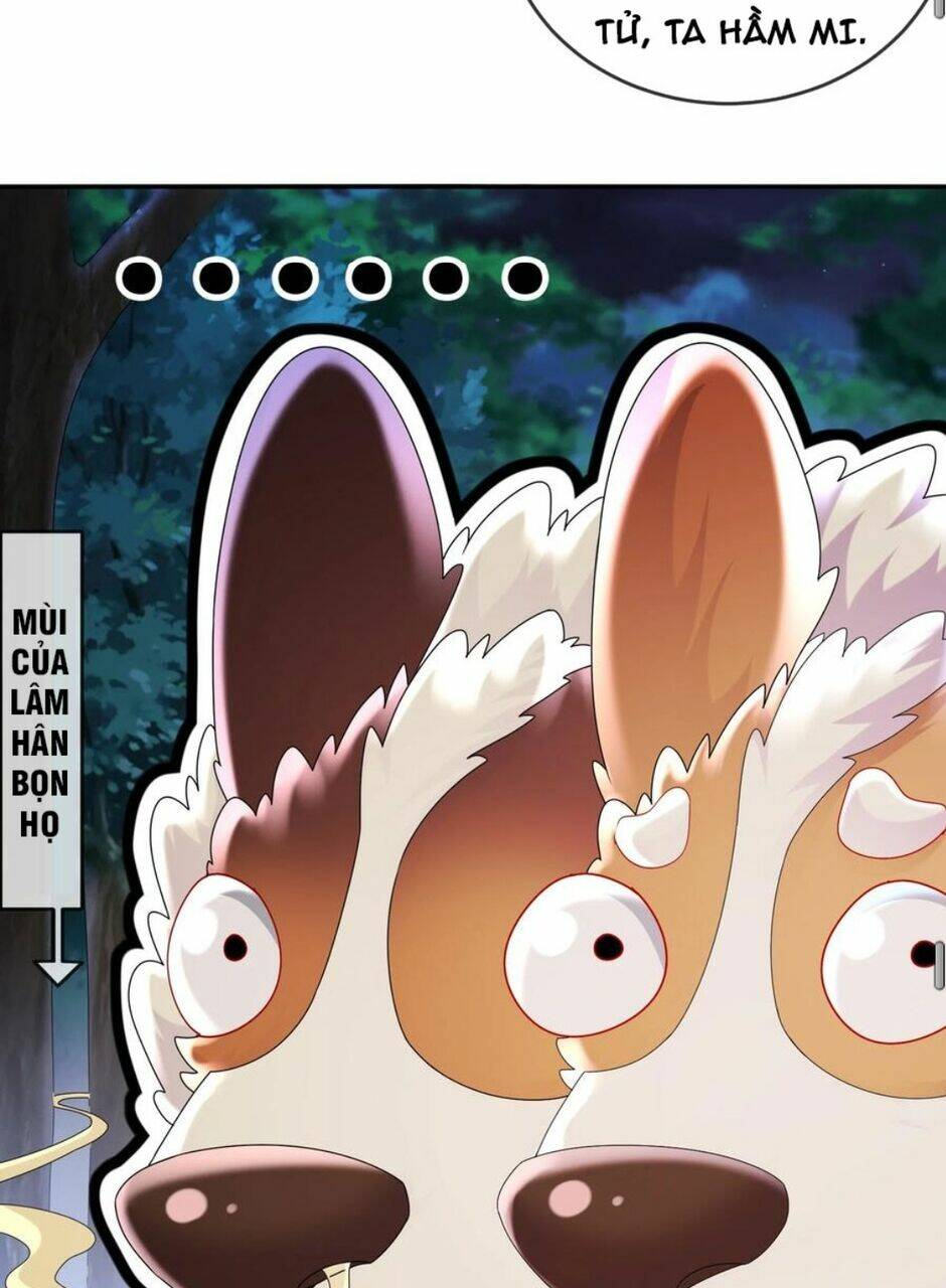 Tuyệt Sắc Đạo Lữ Đều Nói Ngô Hoàng Thể Chất Vô Địch Chapter 58 - Trang 48