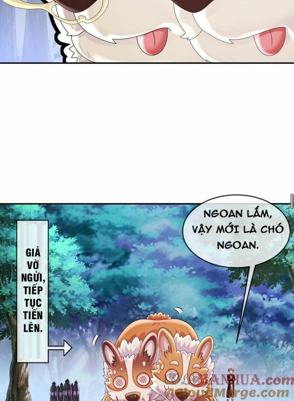 Tuyệt Sắc Đạo Lữ Đều Nói Ngô Hoàng Thể Chất Vô Địch Chapter 58 - Trang 49