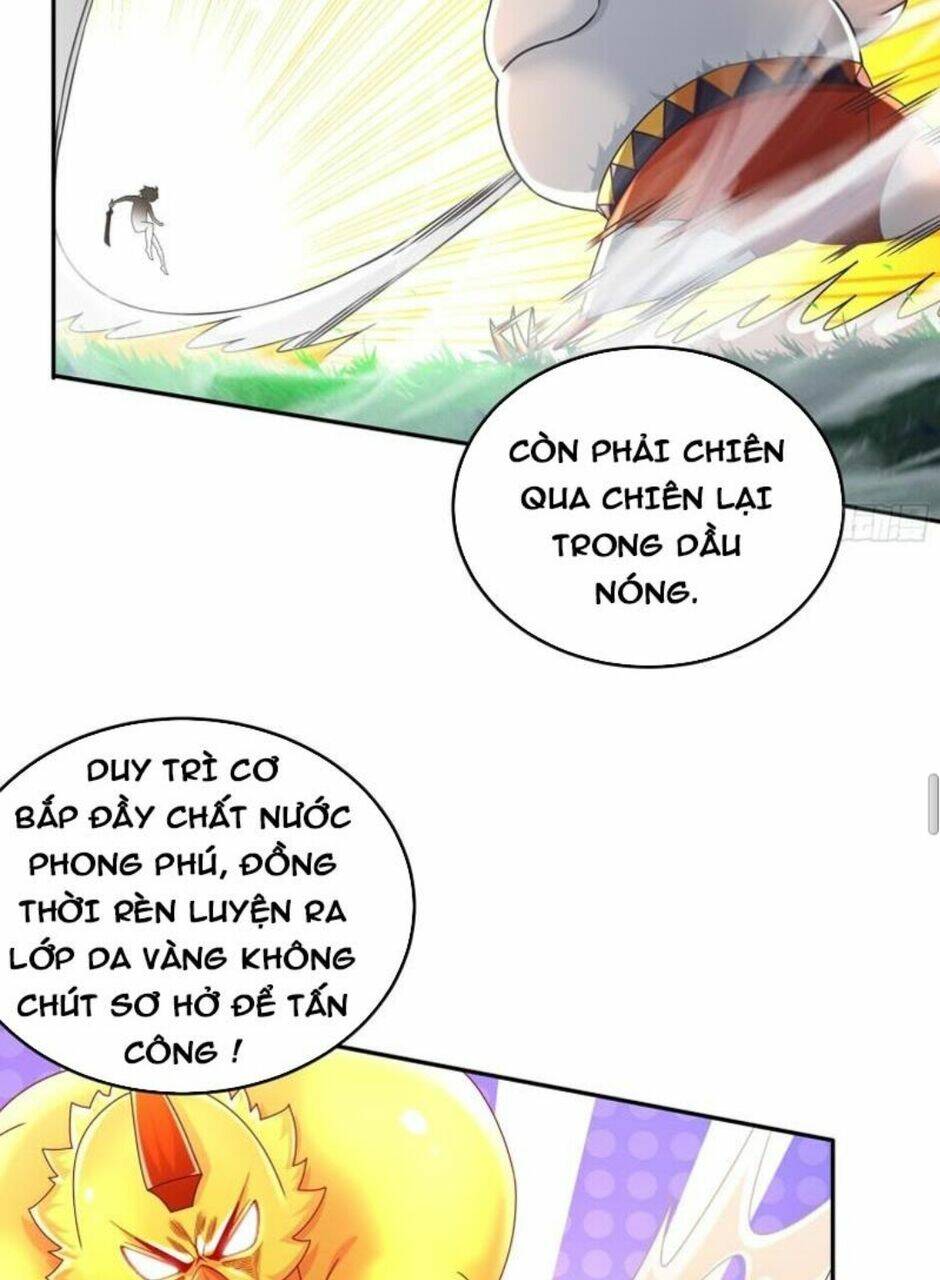 Tuyệt Sắc Đạo Lữ Đều Nói Ngô Hoàng Thể Chất Vô Địch Chapter 62 - Trang 35