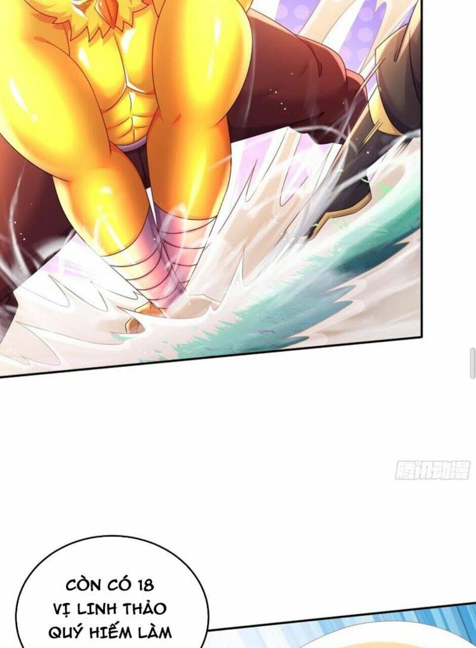 Tuyệt Sắc Đạo Lữ Đều Nói Ngô Hoàng Thể Chất Vô Địch Chapter 62 - Trang 36