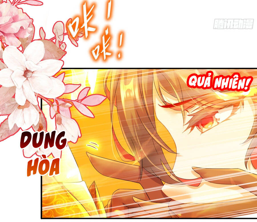 Tuyệt Sắc Đạo Lữ Đều Nói Ngô Hoàng Thể Chất Vô Địch Chapter 7 - Trang 30