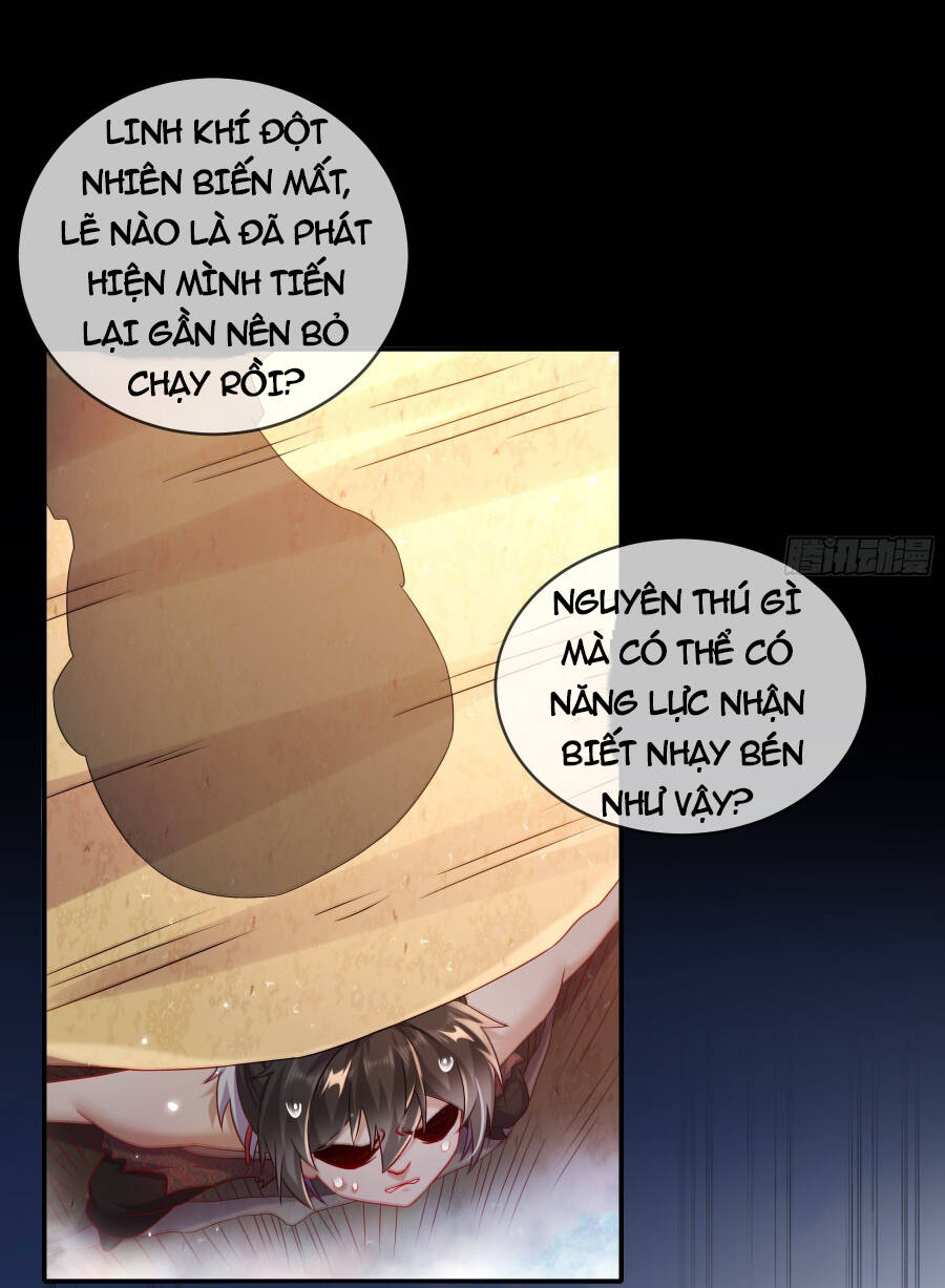 Tuyệt Sắc Đạo Lữ Đều Nói Ngô Hoàng Thể Chất Vô Địch - Chapter 8 - Page 17