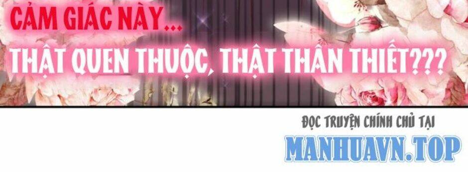 Tuyệt Sắc Đạo Lữ Đều Nói Ngô Hoàng Thể Chất Vô Địch - Chapter 83 - Page 41