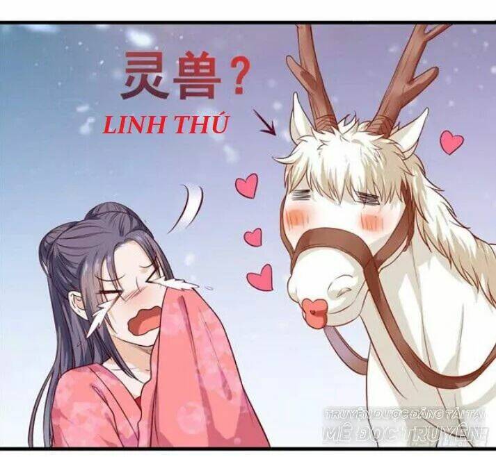 Tuyệt Sắc Quyến Rũ Quỷ Y Chí Tôn - Chapter 125 - Page 10