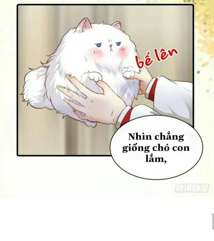 Tuyệt Sắc Quyến Rũ Quỷ Y Chí Tôn - Chapter 138.1 - Page 21