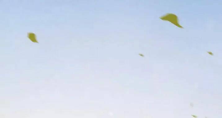 Tuyệt Sắc Quyến Rũ Quỷ Y Chí Tôn - Chapter 145.1 - Page 19