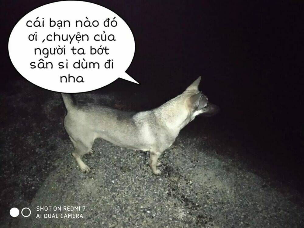 Tuyệt Sắc Quyến Rũ Quỷ Y Chí Tôn - Chapter 152 - Page 31