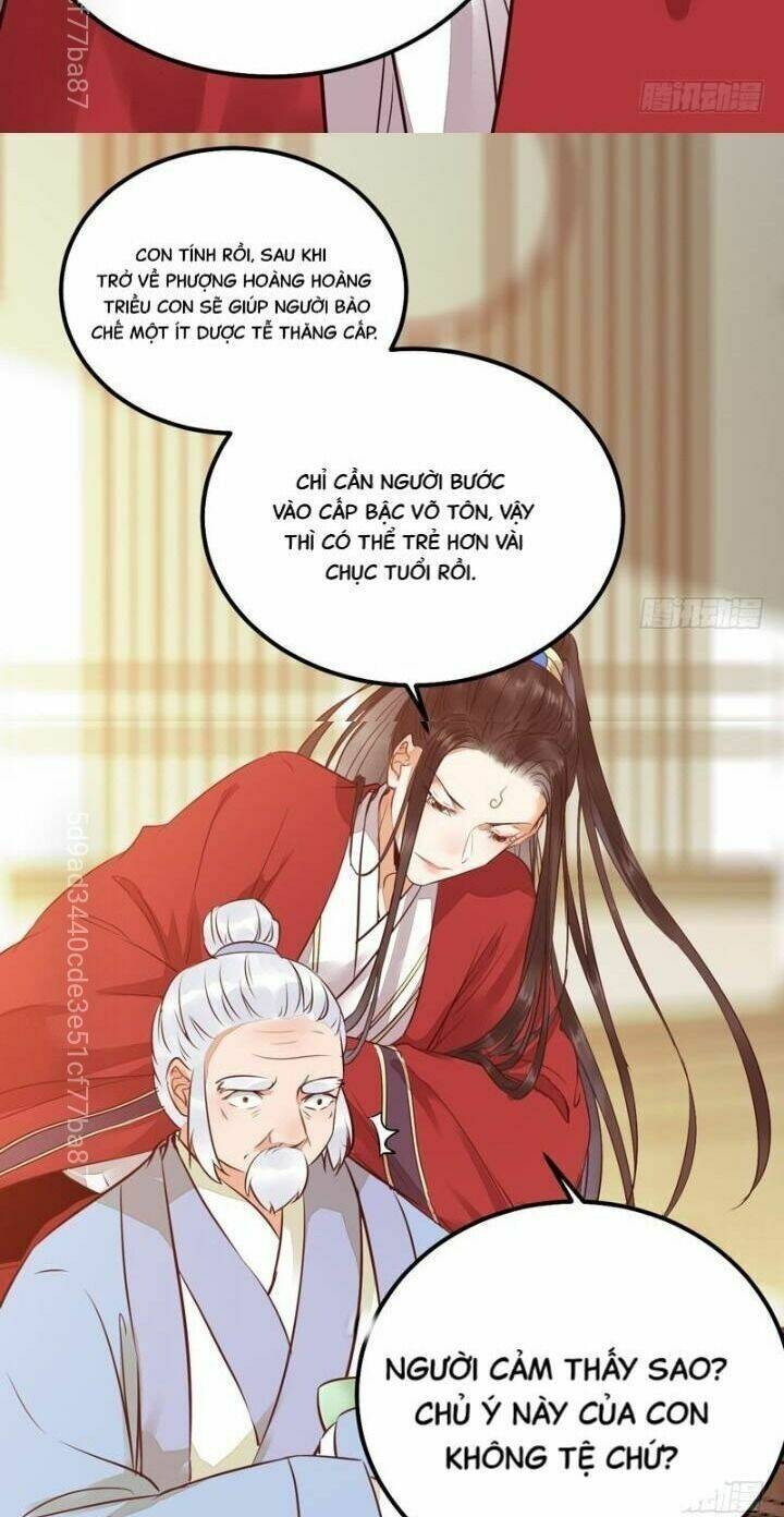 Tuyệt Sắc Quyến Rũ Quỷ Y Chí Tôn - Chapter 215 - Page 12