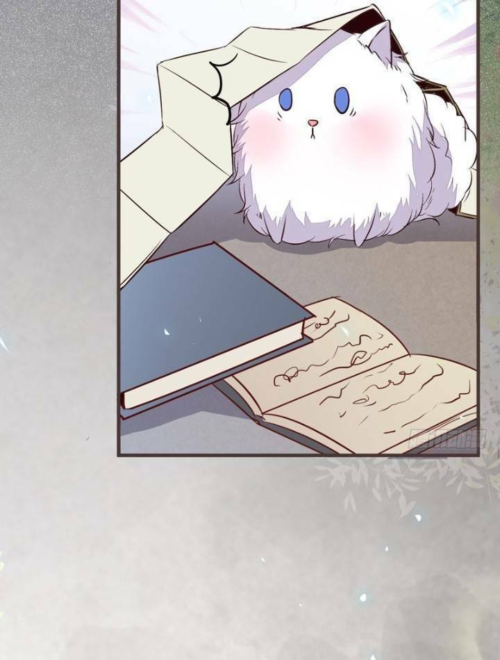 Tuyệt Sắc Quyến Rũ Quỷ Y Chí Tôn - Chapter 231 - Page 17