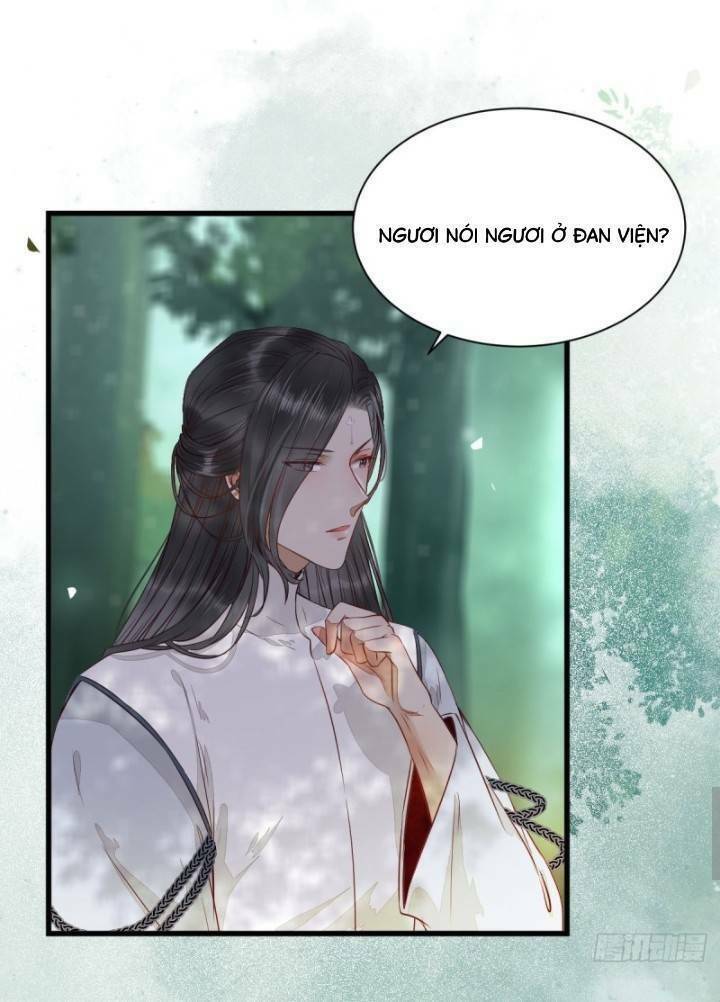 Tuyệt Sắc Quyến Rũ Quỷ Y Chí Tôn - Chapter 241 - Page 5