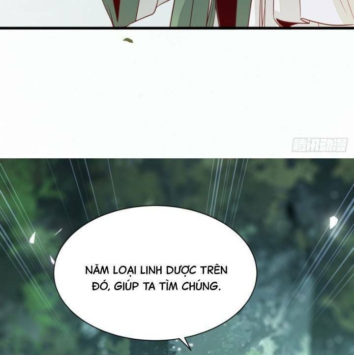 Tuyệt Sắc Quyến Rũ Quỷ Y Chí Tôn - Chapter 241 - Page 8