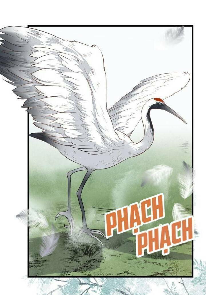 Tuyệt Sắc Quyến Rũ Quỷ Y Chí Tôn - Chapter 251 - Page 16