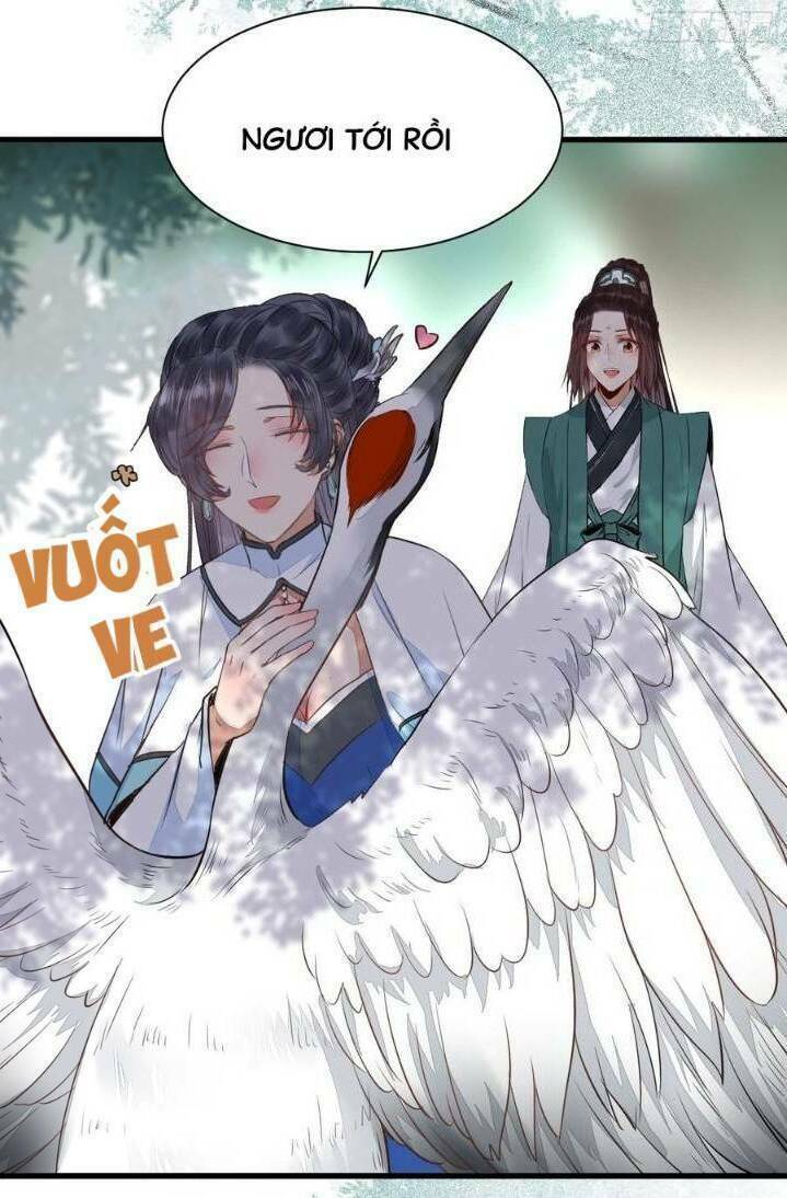 Tuyệt Sắc Quyến Rũ Quỷ Y Chí Tôn - Chapter 251 - Page 17