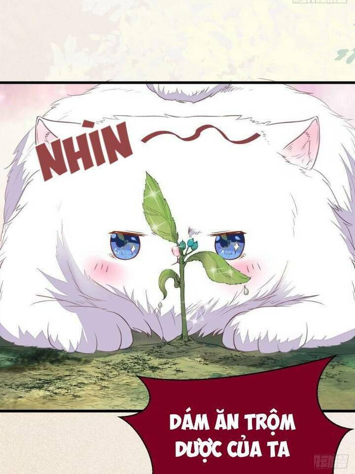 Tuyệt Sắc Quyến Rũ Quỷ Y Chí Tôn - Chapter 253 - Page 23