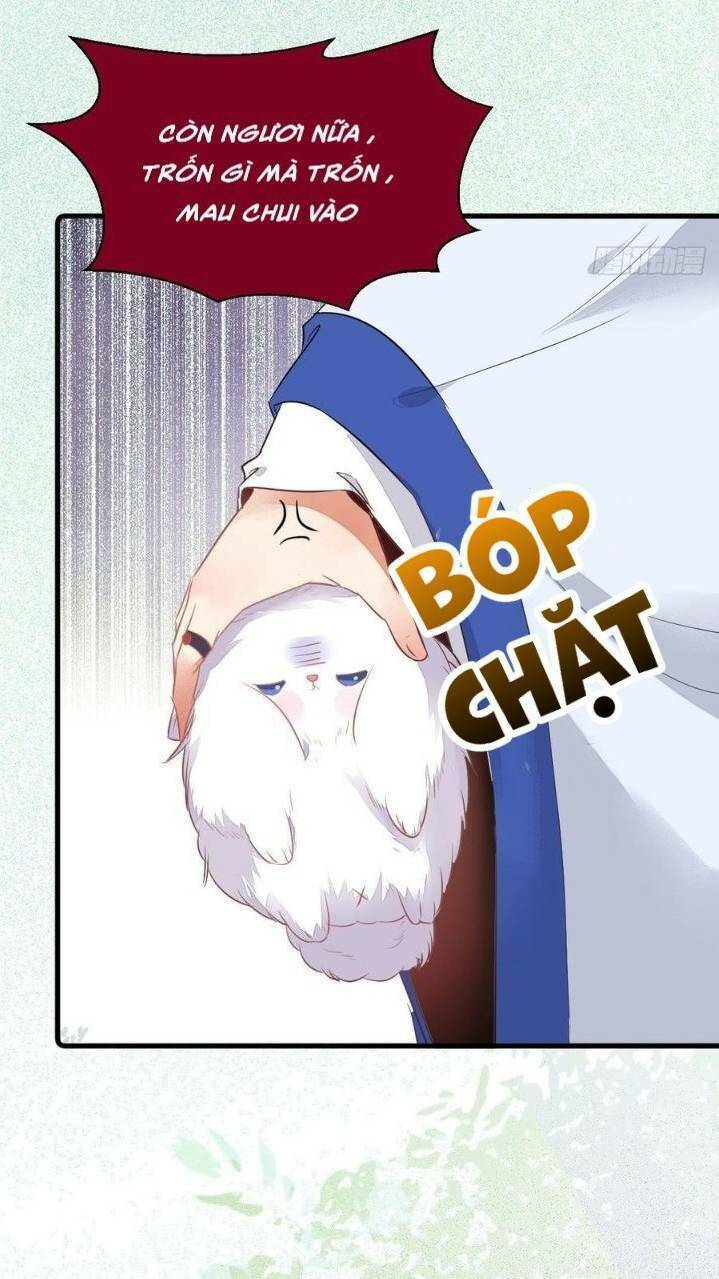 Tuyệt Sắc Quyến Rũ Quỷ Y Chí Tôn - Chapter 260 - Page 15