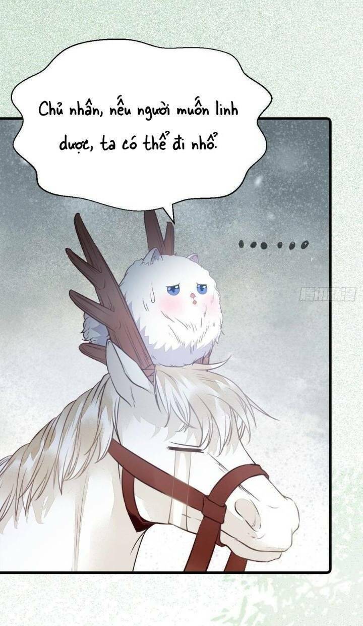 Tuyệt Sắc Quyến Rũ Quỷ Y Chí Tôn - Chapter 260 - Page 22