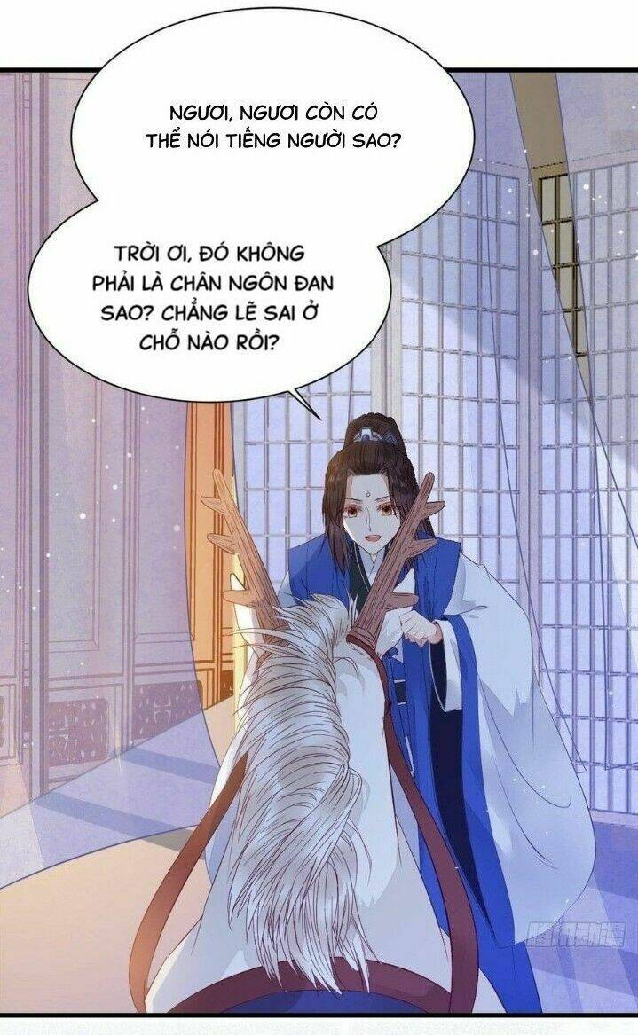 Tuyệt Sắc Quyến Rũ Quỷ Y Chí Tôn - Chapter 263 - Page 6