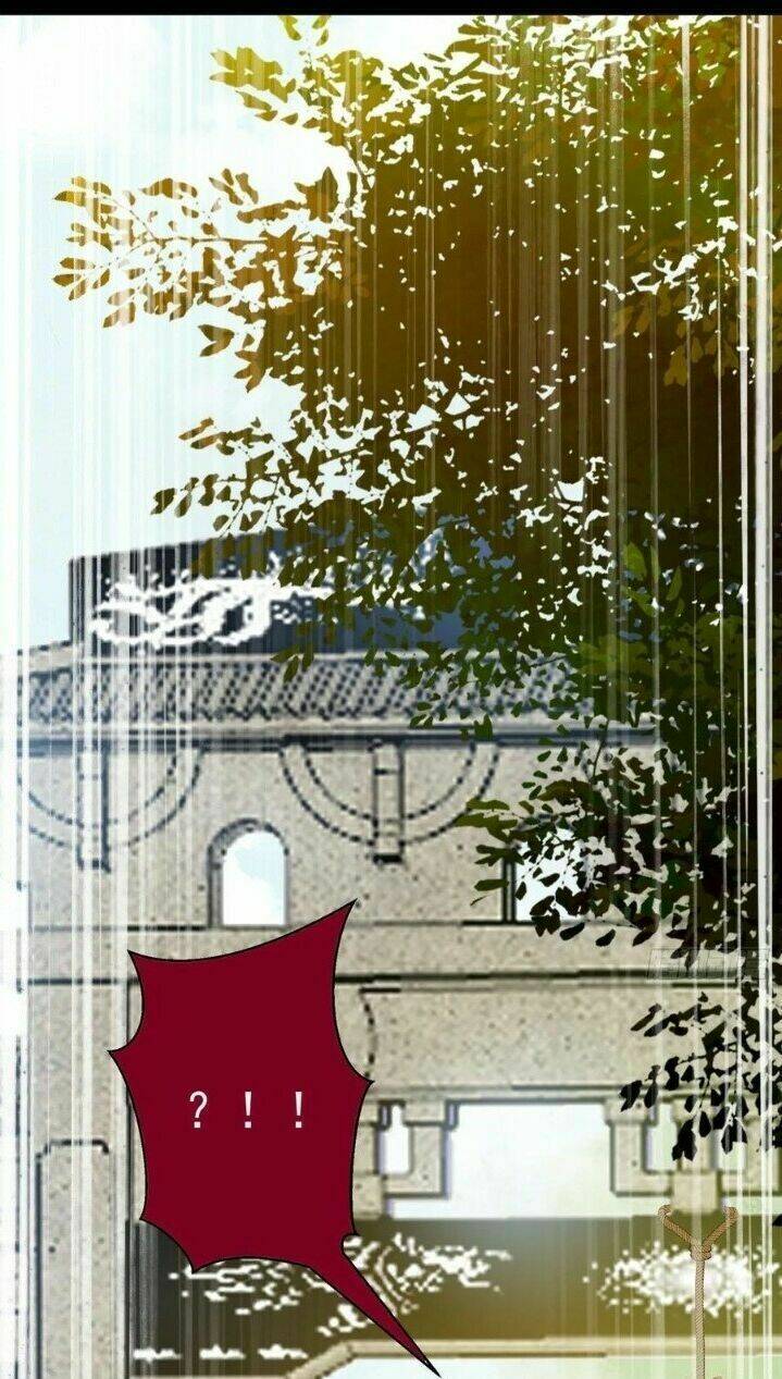 Tuyệt Sắc Quyến Rũ Quỷ Y Chí Tôn - Chapter 264 - Page 5