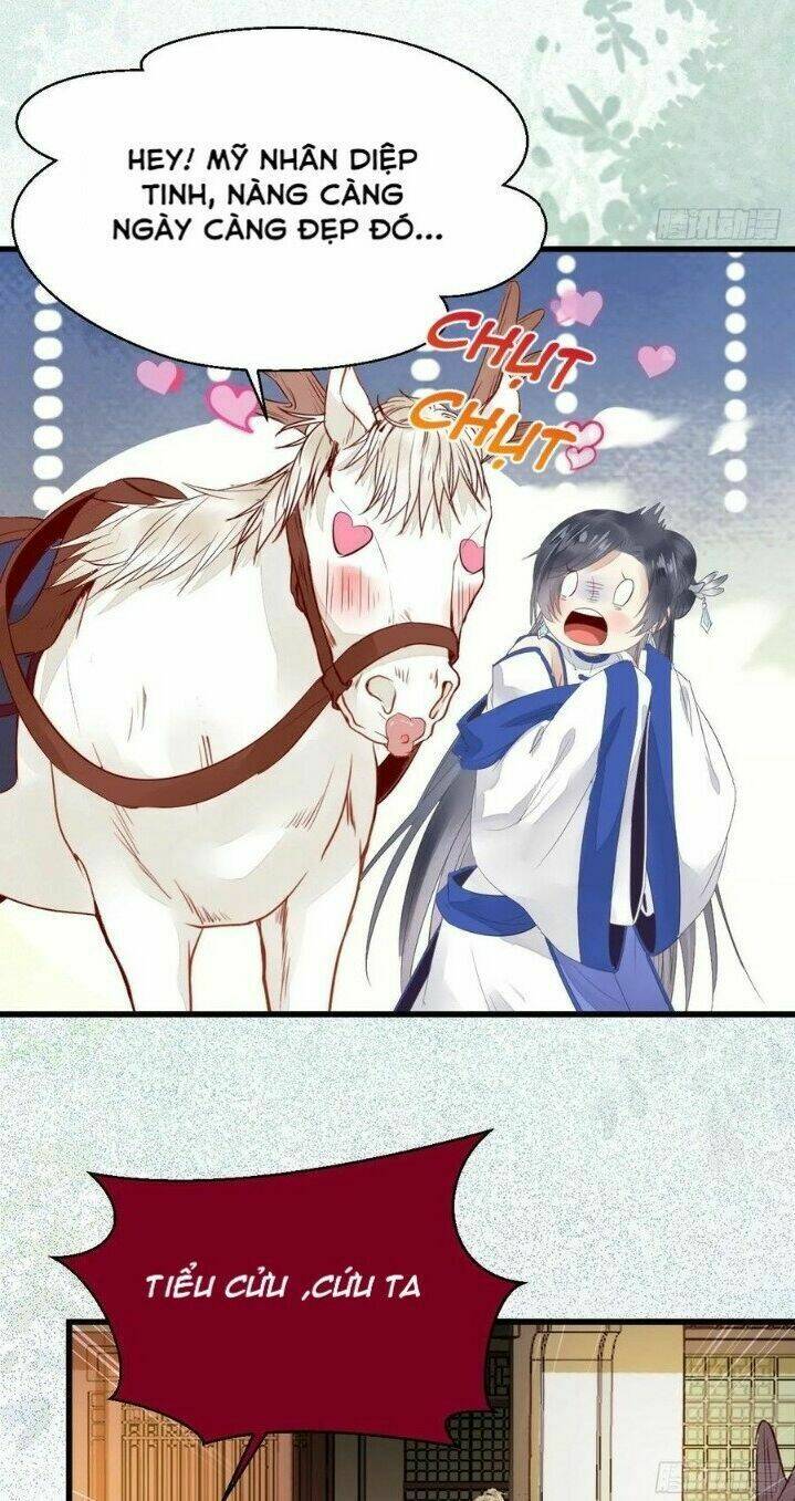 Tuyệt Sắc Quyến Rũ Quỷ Y Chí Tôn - Chapter 265 - Page 21