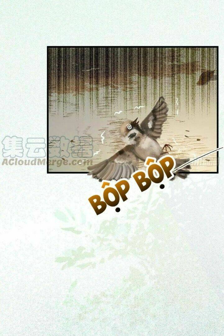 Tuyệt Sắc Quyến Rũ Quỷ Y Chí Tôn - Chapter 267 - Page 11