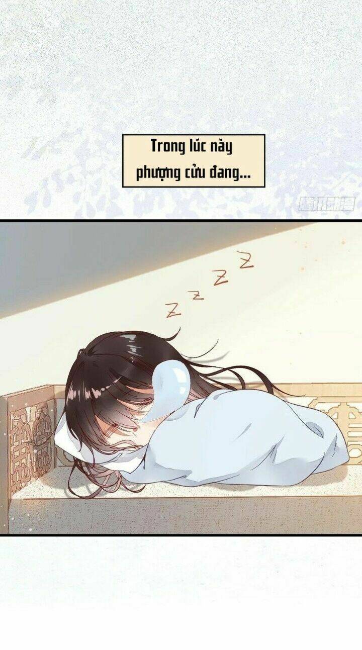 Tuyệt Sắc Quyến Rũ Quỷ Y Chí Tôn - Chapter 267 - Page 41