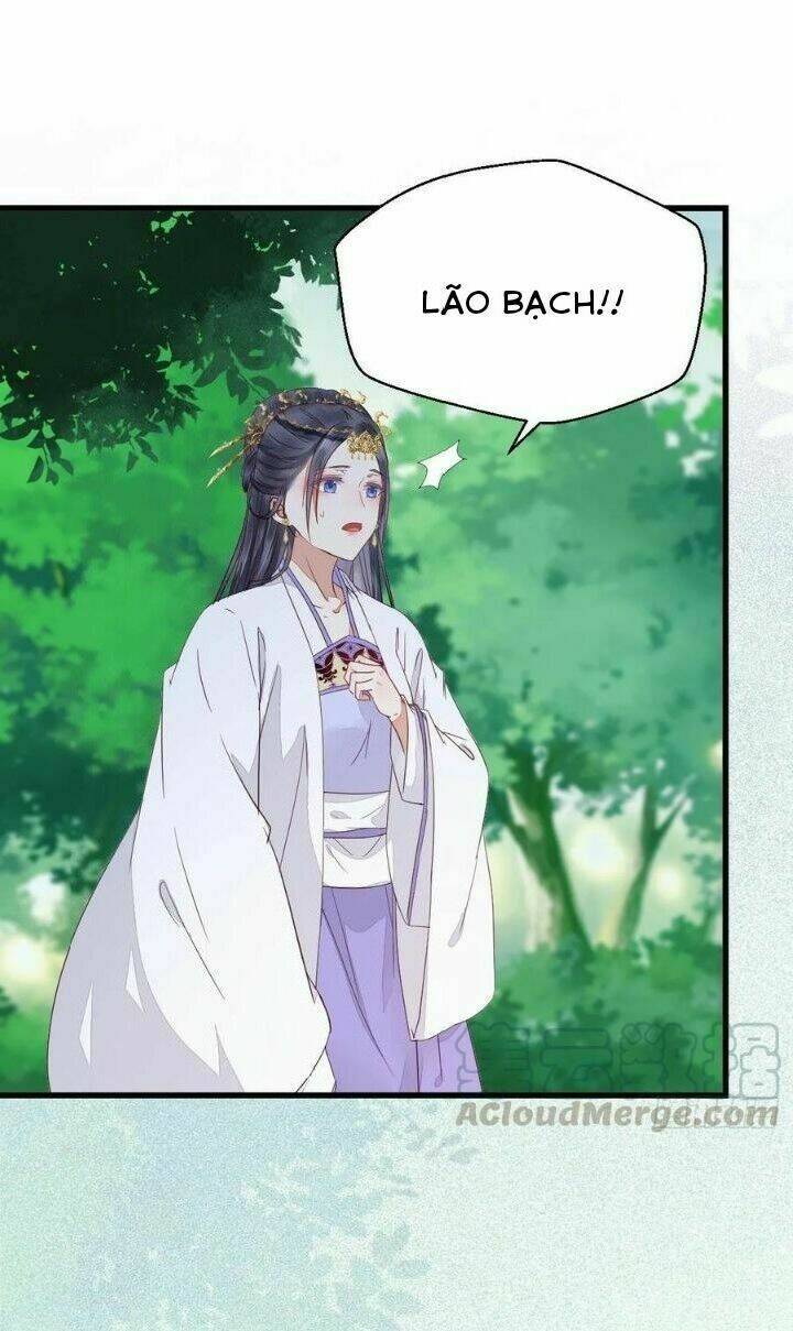 Tuyệt Sắc Quyến Rũ Quỷ Y Chí Tôn - Chapter 280 - Page 35