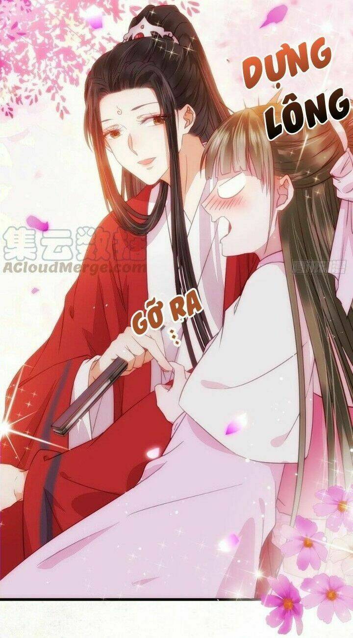 Tuyệt Sắc Quyến Rũ Quỷ Y Chí Tôn - Chapter 282 - Page 49