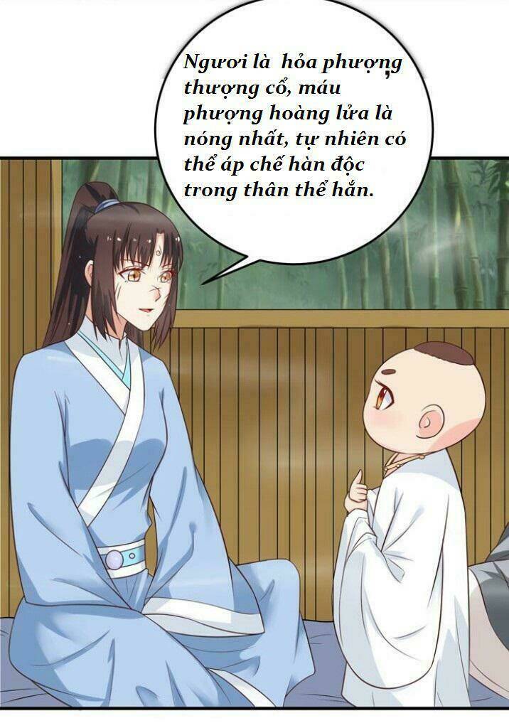 Tuyệt Sắc Quyến Rũ Quỷ Y Chí Tôn - Chapter 29 - Page 13