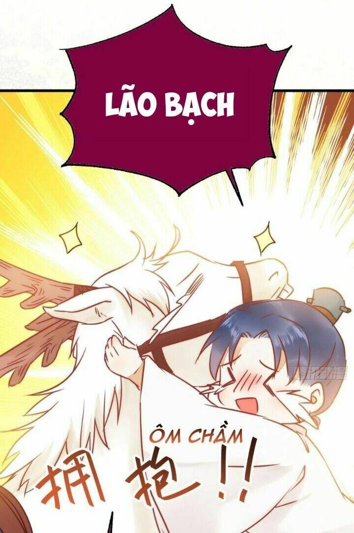 Tuyệt Sắc Quyến Rũ Quỷ Y Chí Tôn - Chapter 310 - Page 47