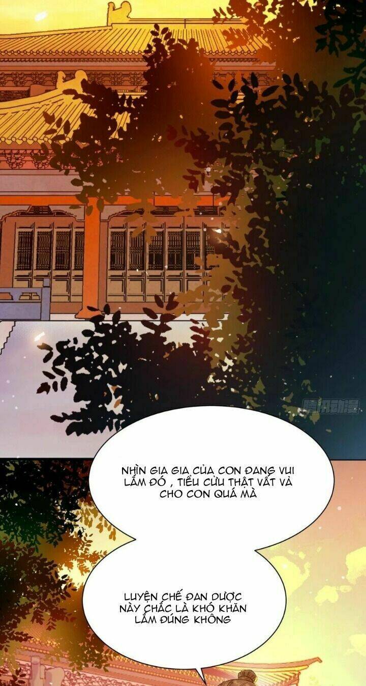 Tuyệt Sắc Quyến Rũ Quỷ Y Chí Tôn - Chapter 316 - Page 13