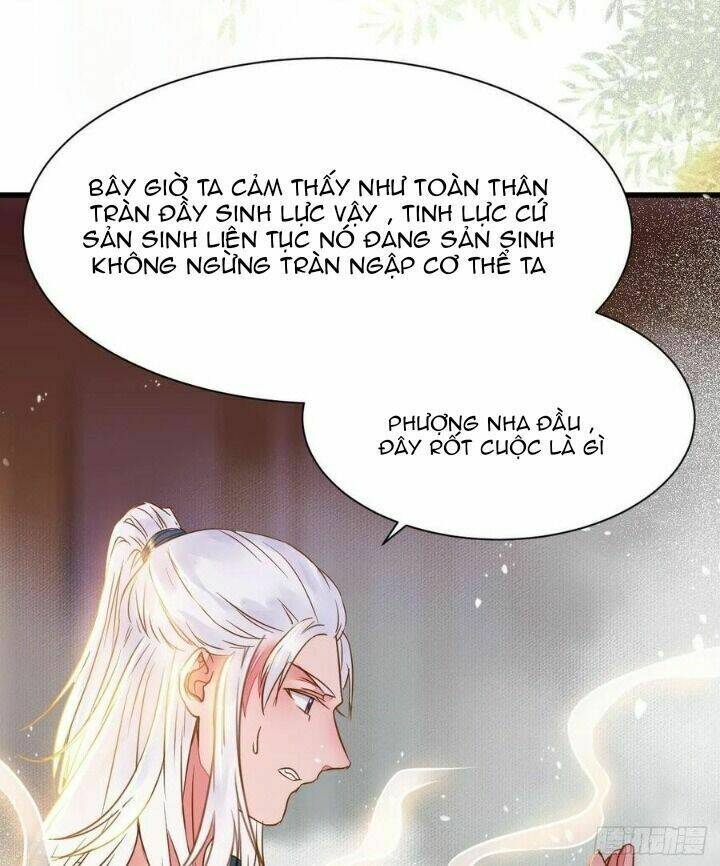 Tuyệt Sắc Quyến Rũ Quỷ Y Chí Tôn - Chapter 316 - Page 3