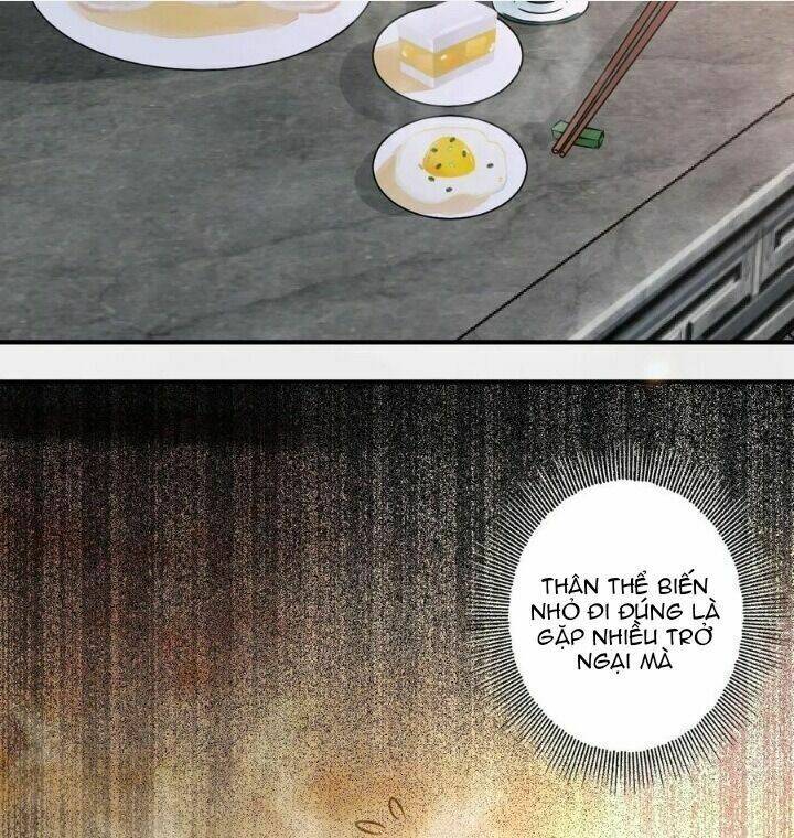 Tuyệt Sắc Quyến Rũ Quỷ Y Chí Tôn - Chapter 318 - Page 19