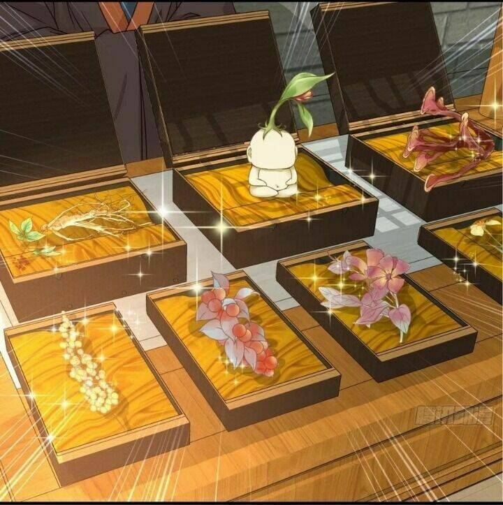 Tuyệt Sắc Quyến Rũ Quỷ Y Chí Tôn - Chapter 325 - Page 11