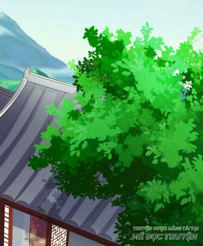 Tuyệt Sắc Quyến Rũ Quỷ Y Chí Tôn - Chapter 35 - Page 5