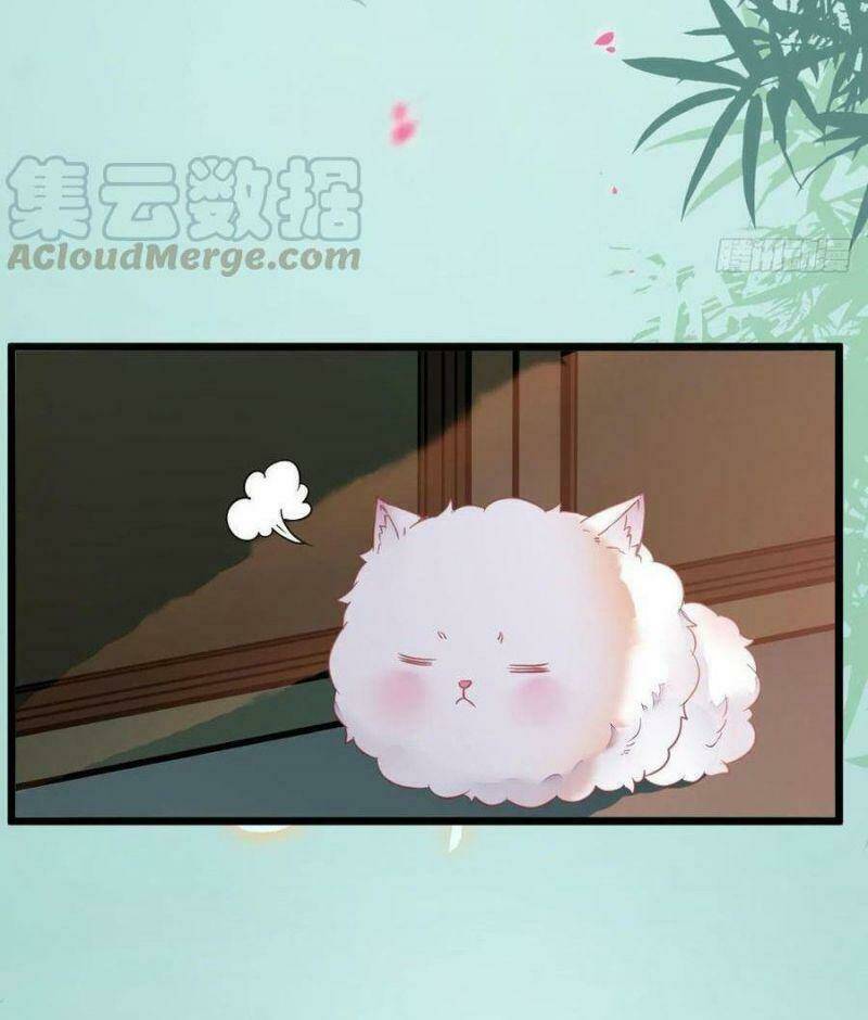 Tuyệt Sắc Quyến Rũ Quỷ Y Chí Tôn - Chapter 376 - Page 36