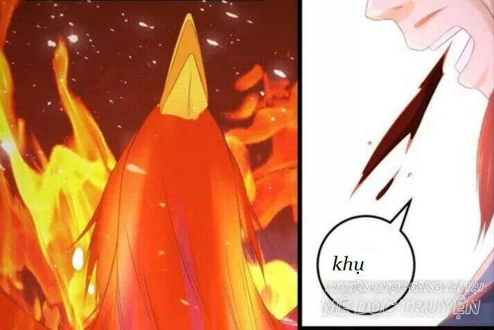 Tuyệt Sắc Quyến Rũ Quỷ Y Chí Tôn - Chapter 51 - Page 40