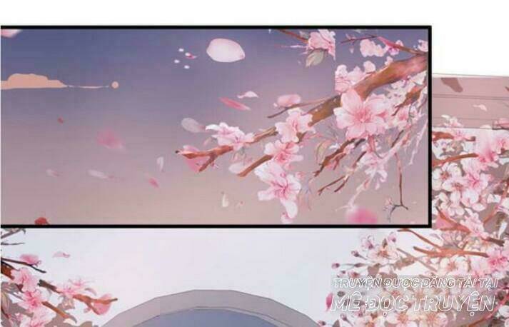 Tuyệt Sắc Quyến Rũ Quỷ Y Chí Tôn - Chapter 60 - Page 30