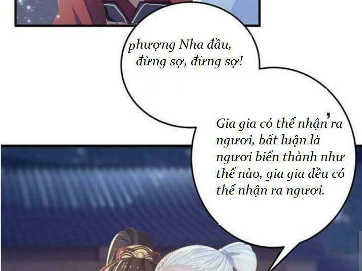 Tuyệt Sắc Quyến Rũ Quỷ Y Chí Tôn - Chapter 61 - Page 24