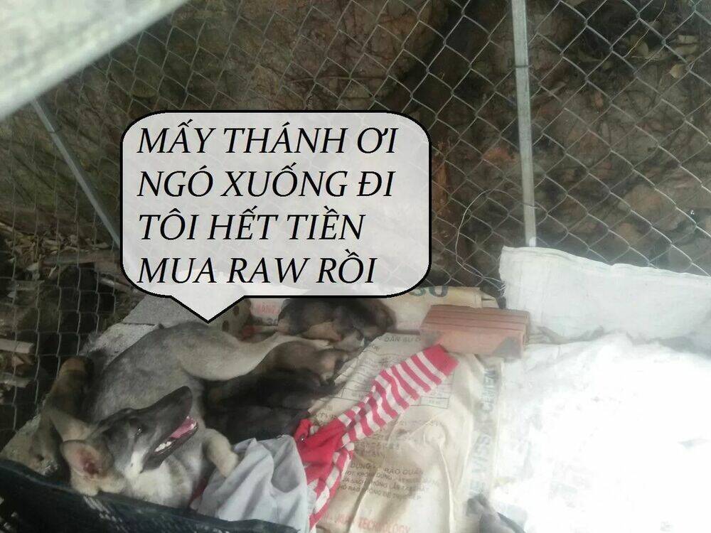 Tuyệt Sắc Quyến Rũ Quỷ Y Chí Tôn - Chapter 82 - Page 48