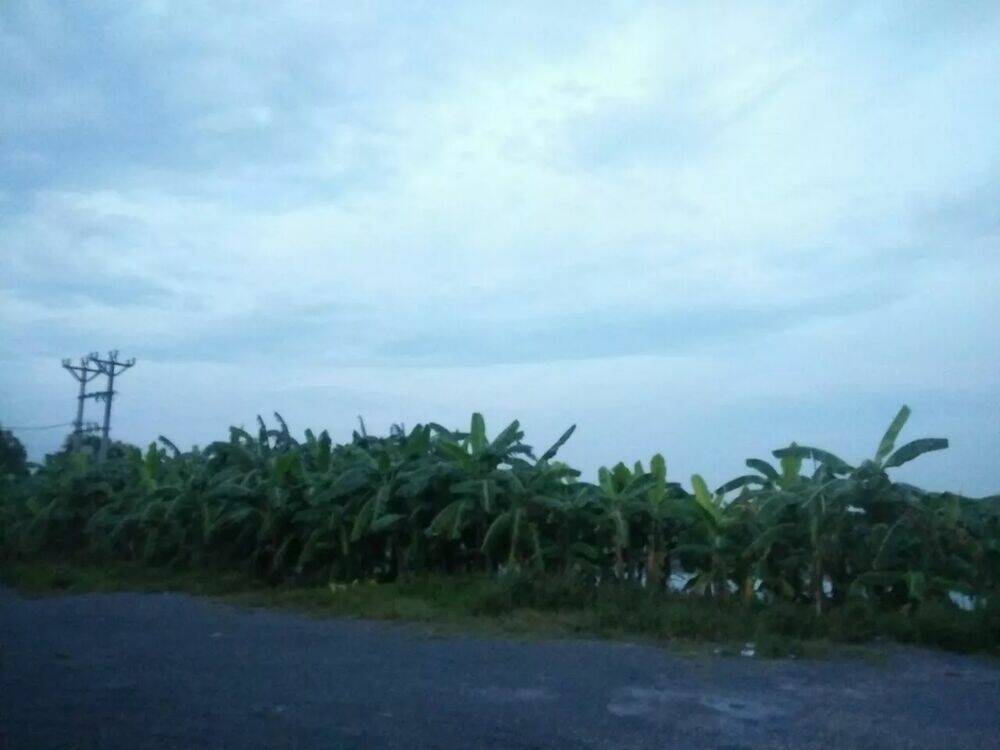 Tuyệt Sắc Quyến Rũ Quỷ Y Chí Tôn - Chapter 91 - Page 63