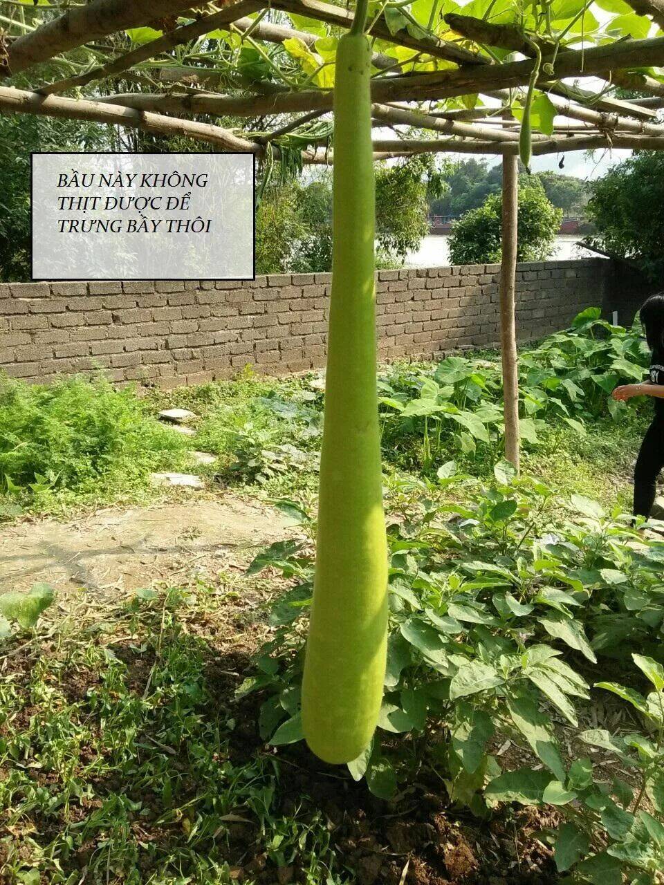 Tuyệt Sắc Quyến Rũ Quỷ Y Chí Tôn - Chapter 91 - Page 69