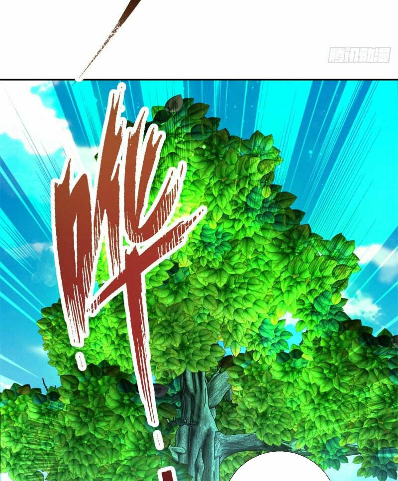 Thần Hồn Võ Đế - Chapter 242 - Page 41