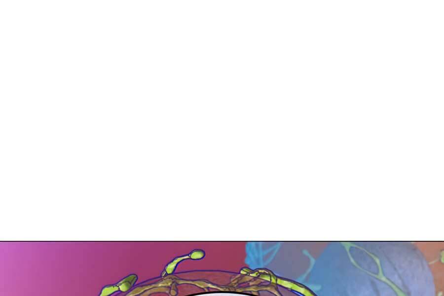 Anh Hùng Mạnh Nhất Trở Lại - Chapter 63 - Page 72