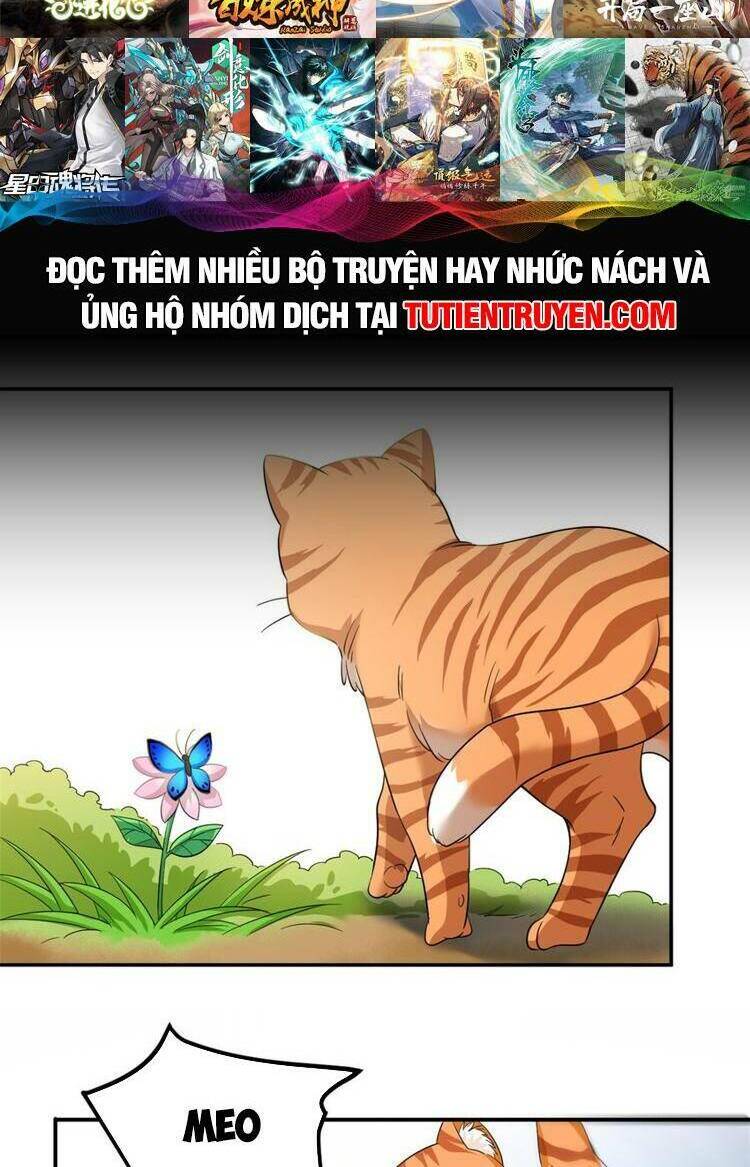 Cường Giả Đến Từ Trại Tâm Thần - Chapter 194 - Page 11