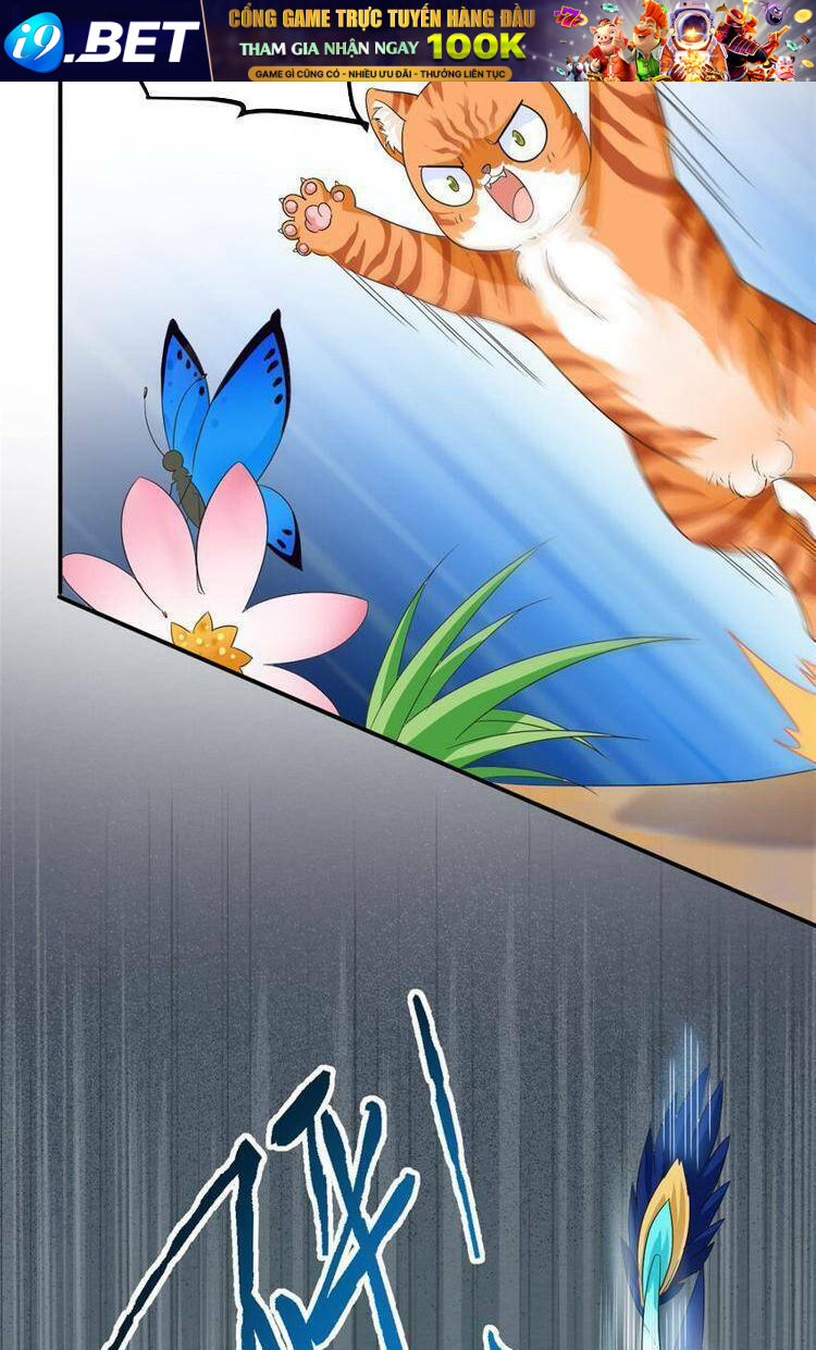 Cường Giả Đến Từ Trại Tâm Thần - Chapter 194 - Page 12